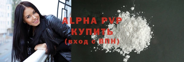 МДПВ Бердск