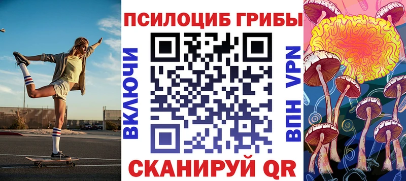 Псилоцибиновые грибы Cubensis Кемь